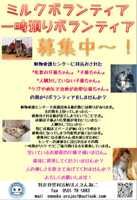1803012.jpg