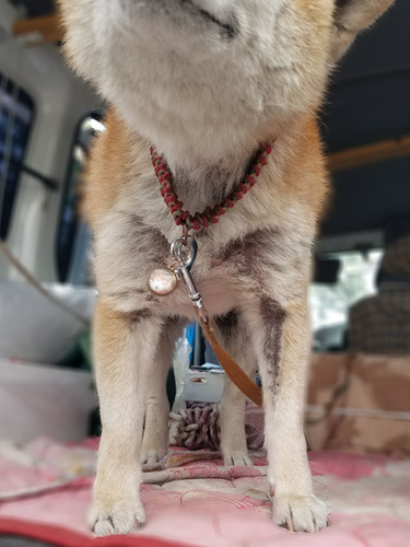 1805233.jpg