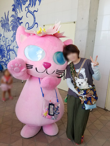 1806043.jpg