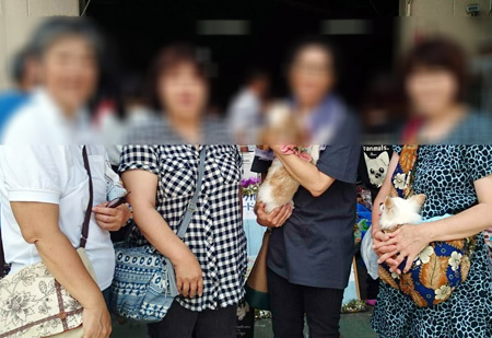 1807021.jpg