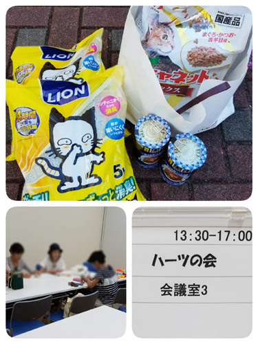 1807231.jpg