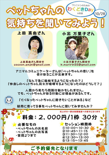 1810051.jpg