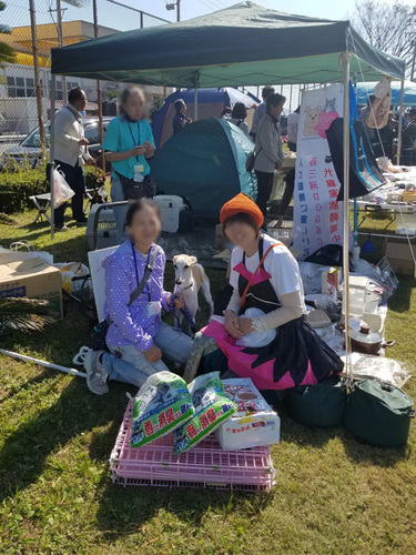 1810301.jpg