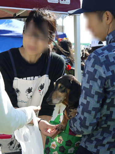 1810314.jpg