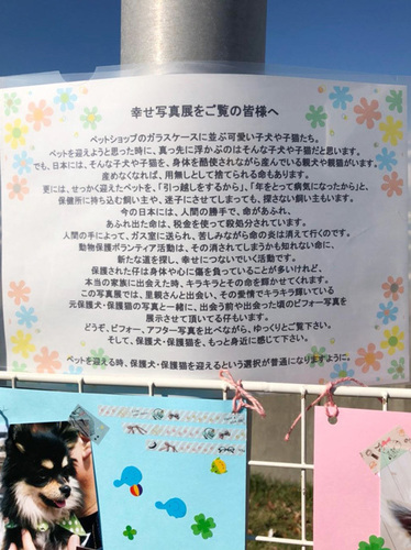 1811018.jpg