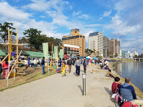 1811041.jpg