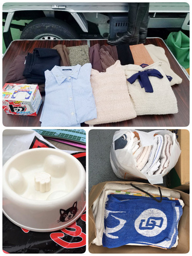 1901121.jpg