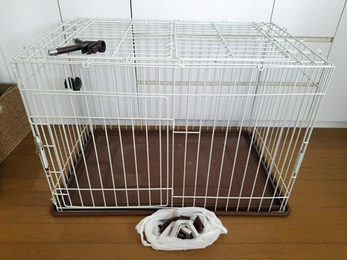 1902042.jpg