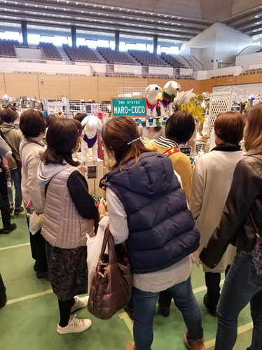 1903122.jpg