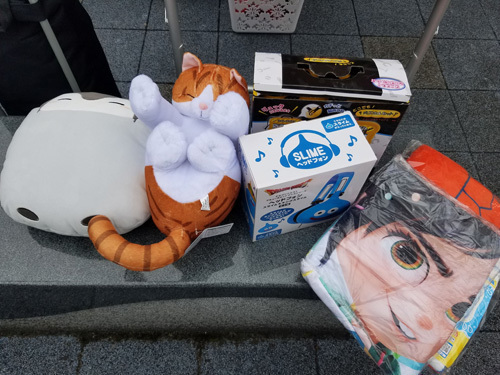 1903251.jpg