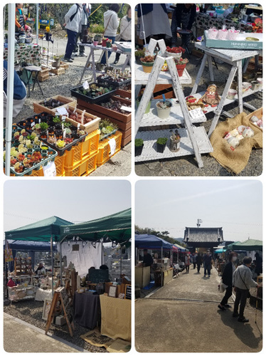 1904071.jpg