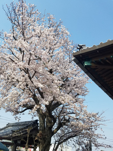 1904076.jpg