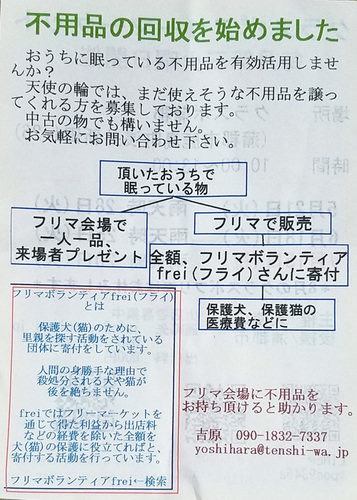 1904174.jpg