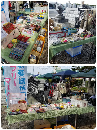 1905062.jpg