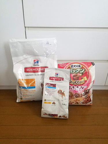1905068.jpg