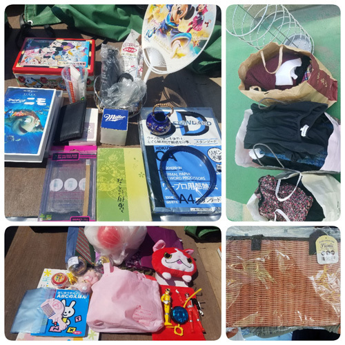 1905133.jpg