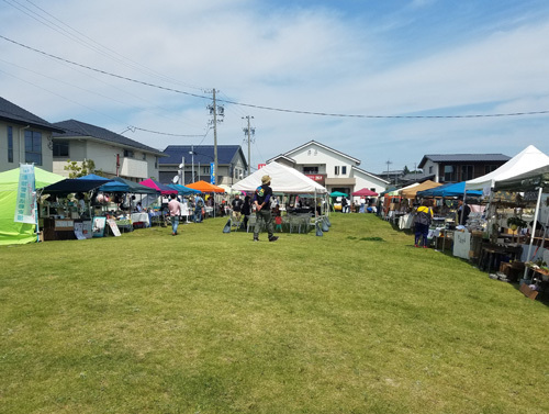 1905135.jpg