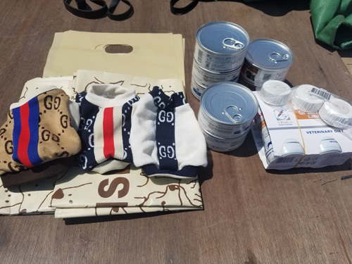 1905137.jpg