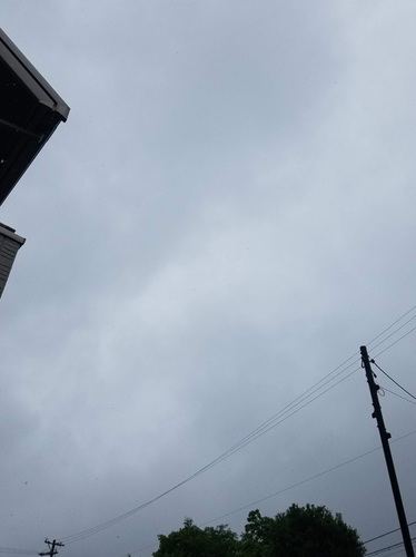 1905142.jpg