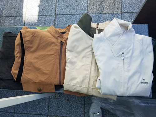 1905271.jpg