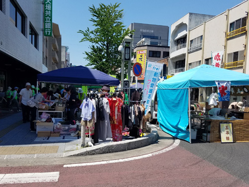 1905273.jpg