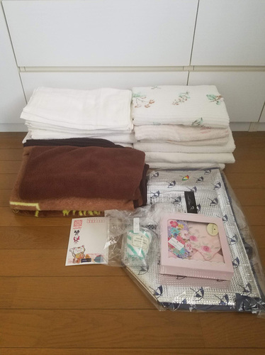 1905275.jpg