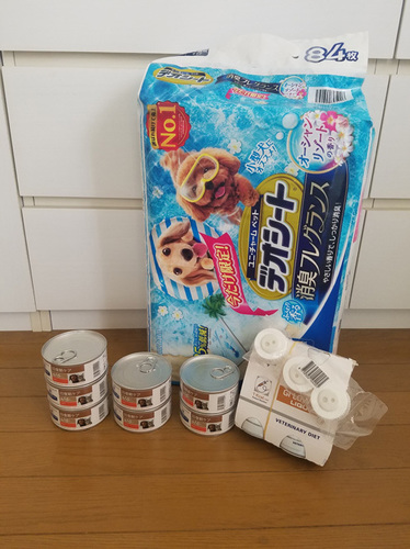 1905303.jpg