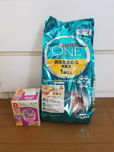 1905306.jpg