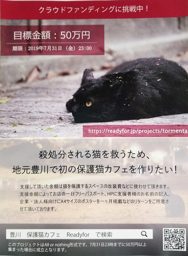 1906183.jpg