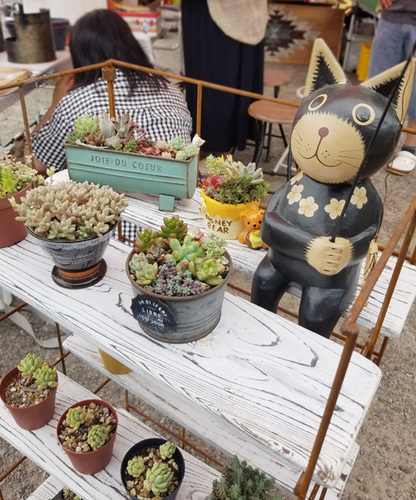 1907052.jpg