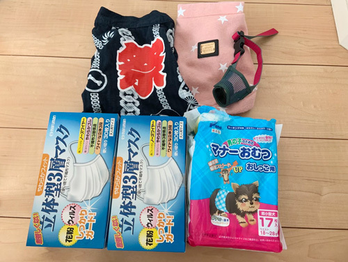 1907132.jpg