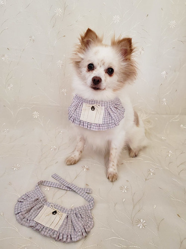 1909131.jpg