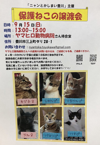 1909133.jpg