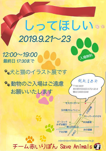 1909203.jpg