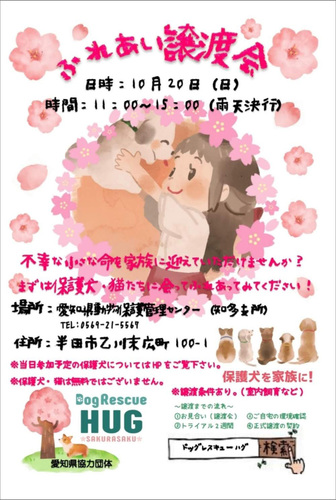 1910023.jpg