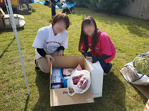 1910234.jpg