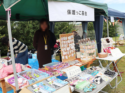 2010081.jpg