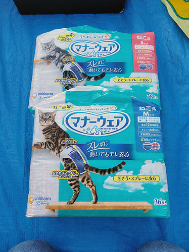 2010243.jpg