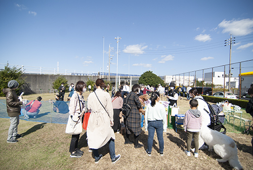 20102703.jpg
