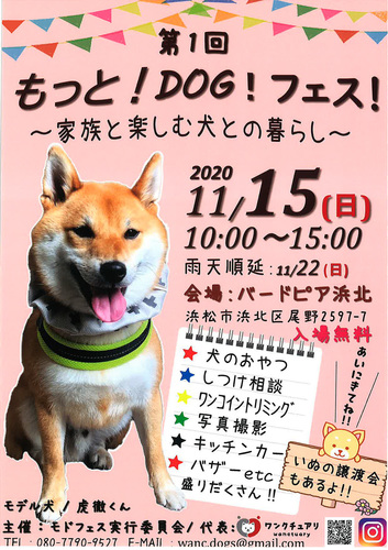 2011125.jpg