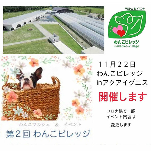 2011201.jpg