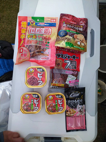 2011247.jpg