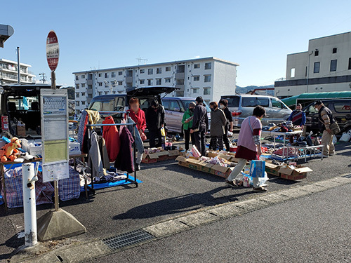 2011309.jpg