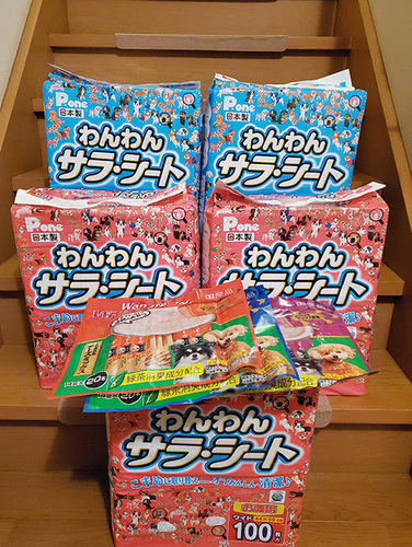 2012056.jpg