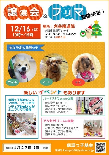 20181216.jpg