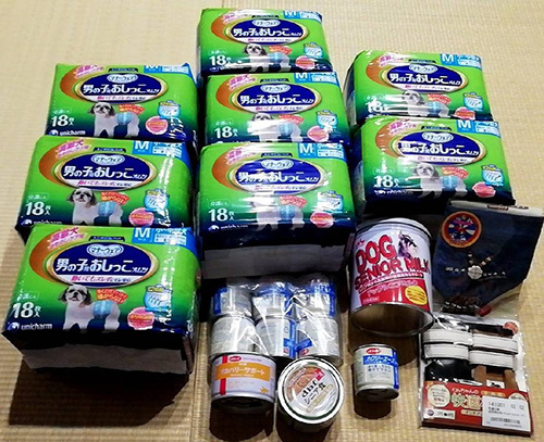 2101301.jpg