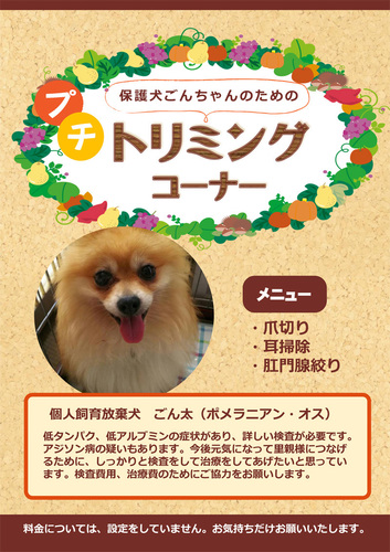 ごんちゃんトリミング.jpg