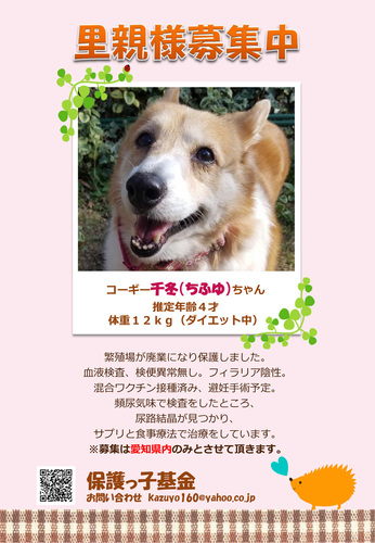 ちふゆ.jpg