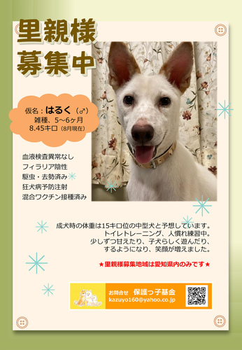 はるく募集-1.jpg