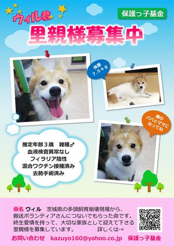 ウィル.jpg